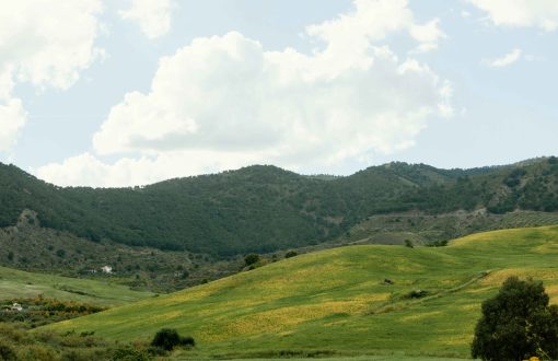 Properties in Rishikesh